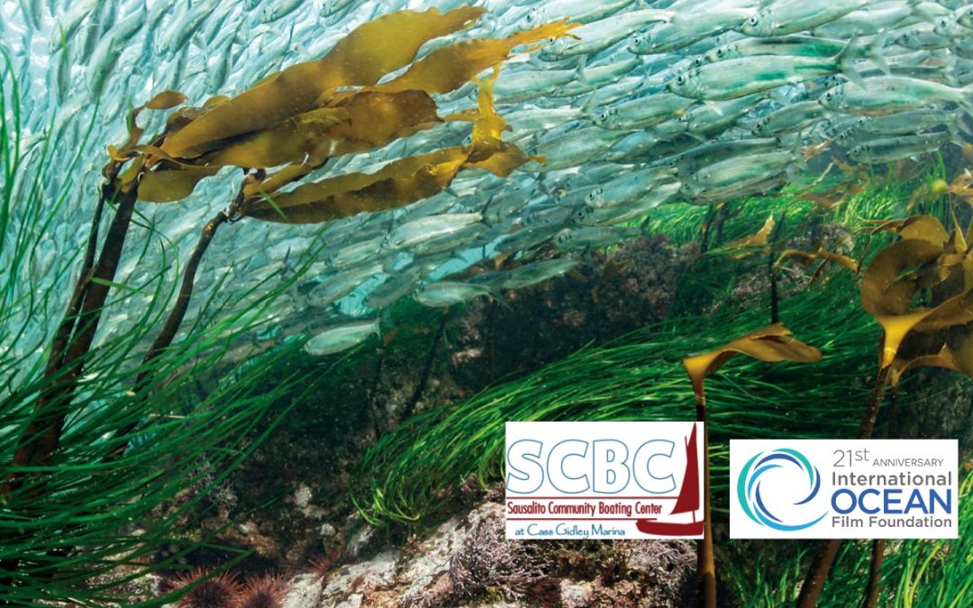 11th Annual SCBC Herring Festival!